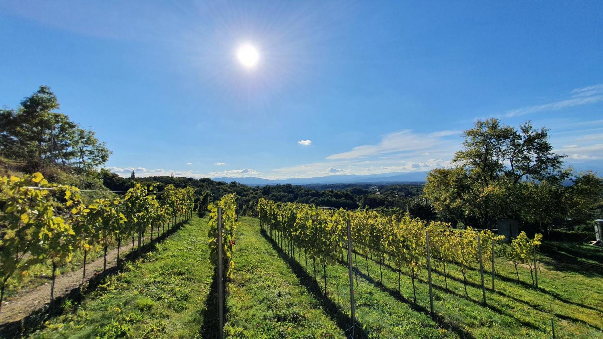 Living & Relax Sausal